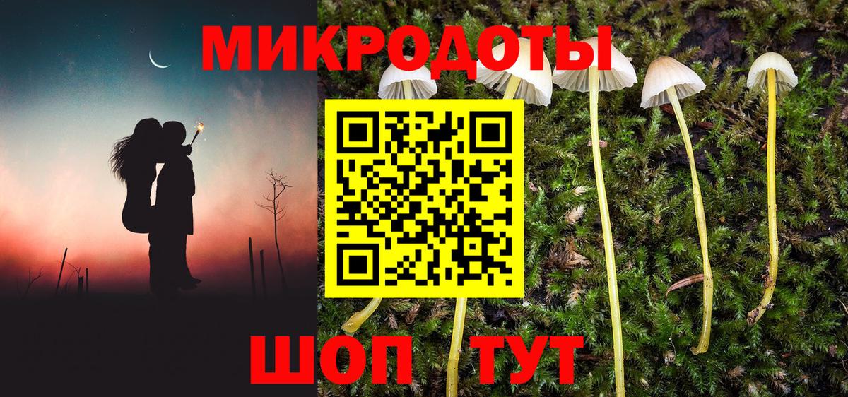 Псилоцибиновые грибы Psilocybe Мурманск