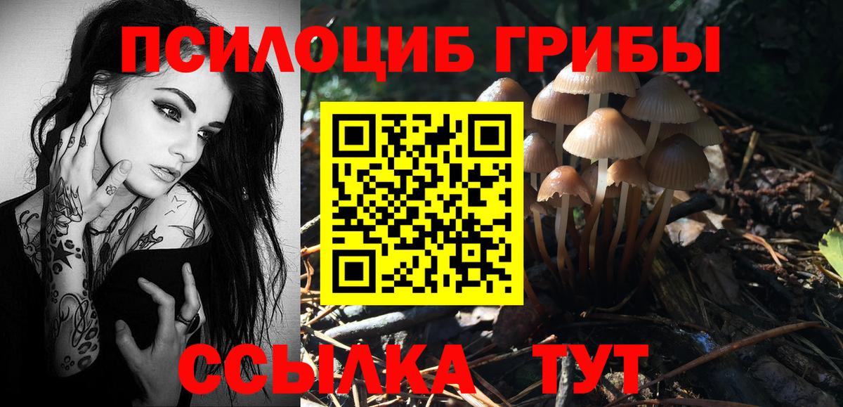 Псилоцибиновые грибы прущие грибы  хочу наркоту  Мурманск  Вход с VPN  Псилоцибиновые грибы Cubensis 